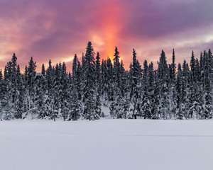 Sunrise in northern Sweden during a cold winter morning.  First sunlight of the year passing the horizon creating a beautiful sun ray. 
