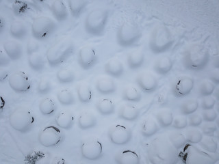 Aerial view of the texture of plants under the snow 