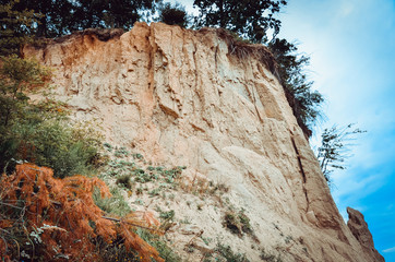 Strata within the cliff