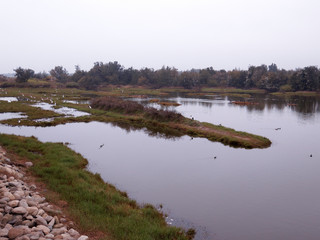 Aogu farm wetlands, Taiwan