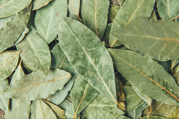 Bay leaf on wooden background.