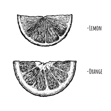Lemon and orange wedges