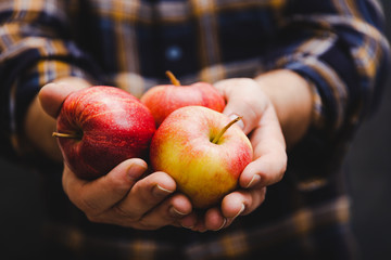 man holding apples in his hands wearing flannel