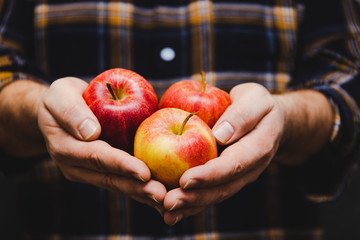 man holding apples in his hands wearing flannel