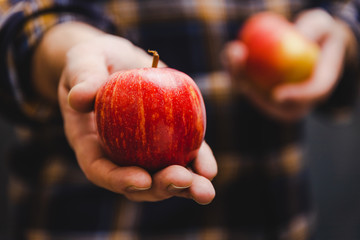 man holding apples in his hands wearing flannel - obrazy, fototapety, plakaty