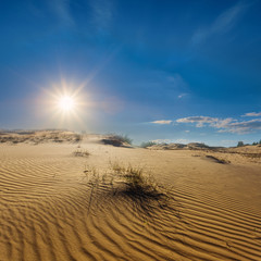 Fototapeta na wymiar hot sandy desert under a sparkle summer sun