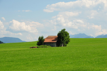 lonely house grown by trees lonely on a grass hill