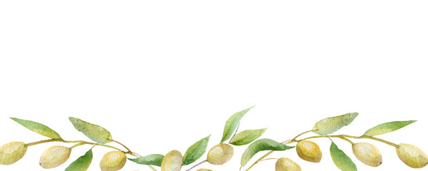 Beautiful lush watercolor banner with olive tree branches with ripe olive berries and green leaves. The composition of the olive tree Aquarelle for the background, texture, pattern wrap © Natalia