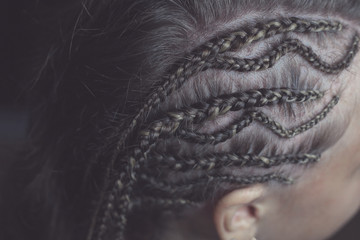 braids on the temple