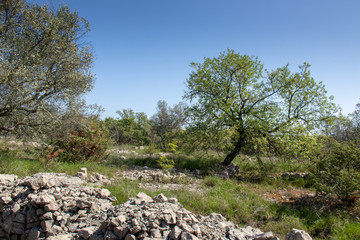 Aspekte der Ardeche in Frankreich