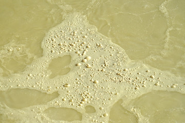 Bubbling mud pot in Yellowstone National Park
