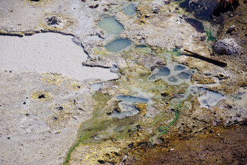 Bubbling mud pot in Yellowstone National Park