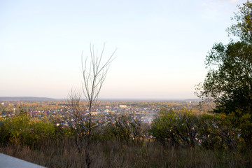 trees, bushes are in the foreground, city, buildings, river are in the background