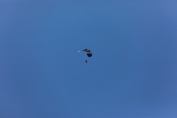 DUBAI, UNITED ARAB EMIRATES  Paragliders over Dubai marina in Dubai, United Arab Emirates