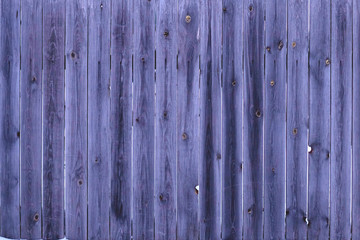 fragment of an old unpainted Board fence