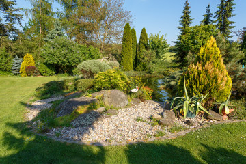 Beautiful spring garden with ornamental conifers and small garden pond with bridge, evergreen gardening concept