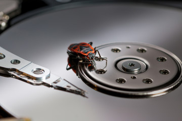 a computer bug causing trouble - on the hard drive