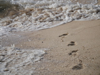 Fußspuren am Meer mit Wasser