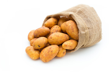 A bio russet potato isolated white background.