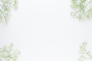 Obraz premium Kompozycja kwiatów. Kwiaty łyszczec na pastelowym różowym tle. Leżał płasko, widok z góry, miejsce na kopię