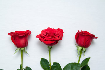 Fototapeta na wymiar Three Red Roses on white wooden background. copy space - Valentines and 8 March Mother Women's Day concept.