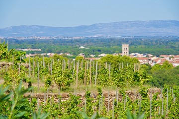 Fototapeta na wymiar Wine village Argelès sur Mer