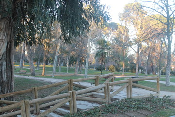 Stairs with wooden railing in the park, surrounded by vegetation. Photo taken at sunset
