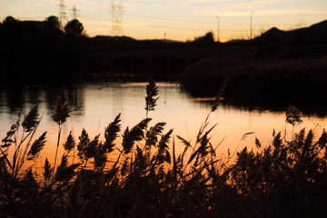 sunset over the lake