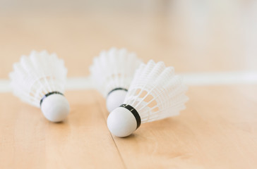 Shuttlecock for badminton competition. ItÕs put on the floor
