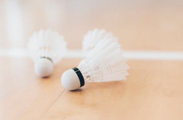 Fototapeta na wymiar Badminton shuttlecocks placed on wooden floor