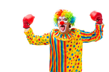 Male clown isolated on white 
