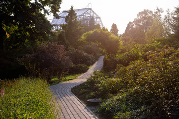 Fototapeta premium natural park sunset background