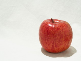 リンゴ　white background
