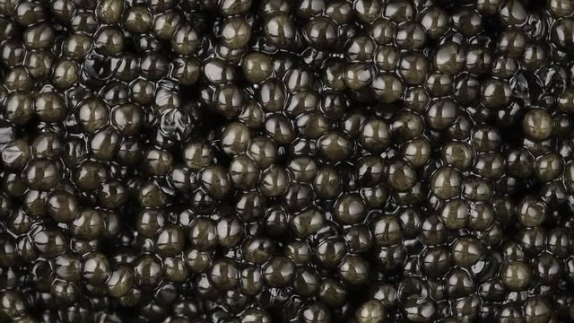 Caviar closeup. Black caviar background. High quality natural sturgeon caviar close-up, rotation. Delicatessen. Slow motion. 4K UHD video footage 3840X2160