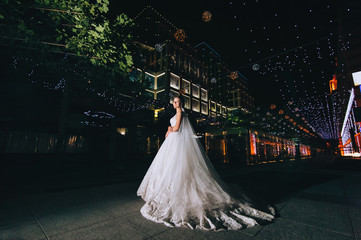 A beautiful bride in a long dress is standing against the backdrop of a night city and a boulevard with bokeh. Wedding photography with evening light. Rich wedding.
