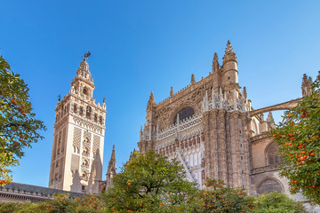 Fototapeta premium Widok katedry Najświętszej Marii Panny w Sewilli (katedra w Sewilli) z wieżą Giralda i drzewami pomarańczy na pierwszym planie