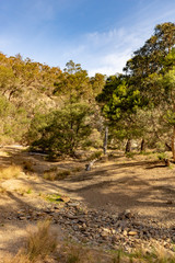 Little River Picnic Spot vert