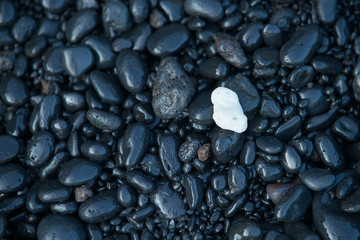 White pebble on black beach