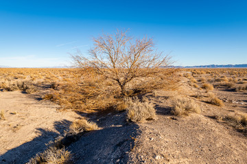 Death Valley National Park