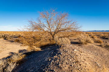 Death Valley National Park