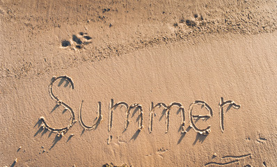 The word summer is written in the sand. Summer beach concept. Trail of dog.