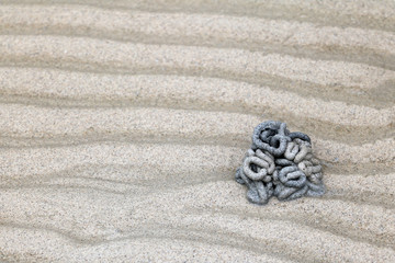 Excreted deposit from a sand worm inside the hole on a beach.