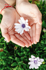 The girl is holding a flower bud in hands, spring mood