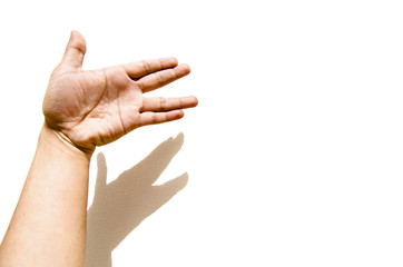 Dog hand gesture on left hand with its shadow isolated on white background.