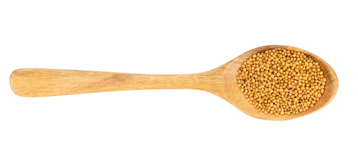 Yellow mustard seeds in wooden spoon isolated on white background, top view