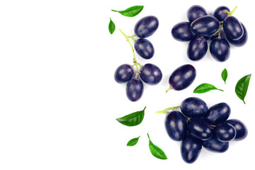 bue grapes isolated on the white background with copy space for your text. Top view. Flat lay pattern