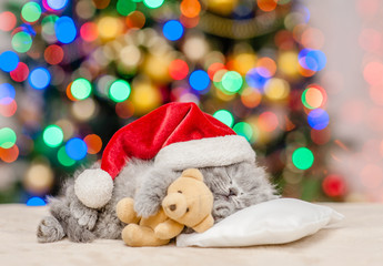 Baby kitten in red santa hat sleeping on pillow with toy bear with Christmas tree on background