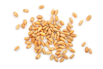 wheat grains isolated on white background. Top view