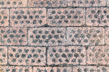 Background of paving stones with holes for the growth of grass in a Buddhist temple.
