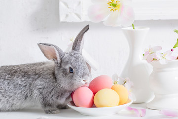 bunny with easter eggs on white background